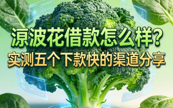 波菜花借款怎么样？实测五个下款快的渠道分享