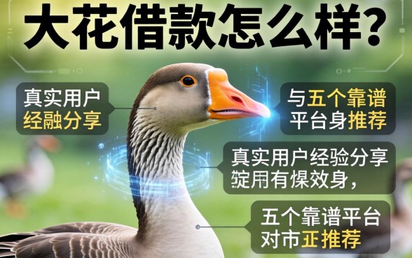 大鹅花借款怎么样？真实用户经验分享与五个靠谱平台推荐