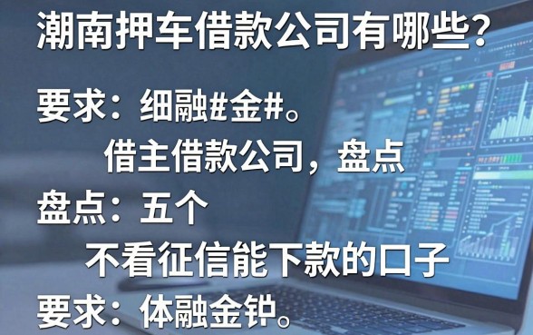 潮南押车借款公司有哪些？盘点五个不看征信能下款的口子