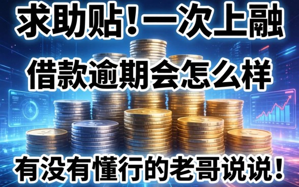 求助贴：一大堆借款逾期会怎么样，有没有懂行的老哥说说？