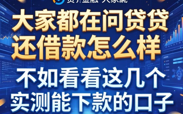 大家都在问贷贷还借款怎么样，不如看看这几个实测能下款的口子