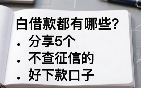 白条借款都有哪些?分享5个不查征信的好下款口子
