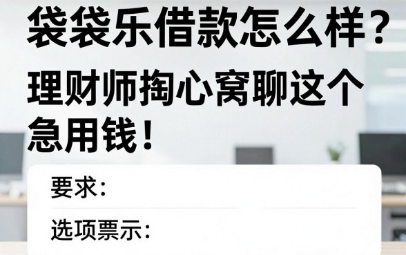 袋袋乐借款怎么样?理财师掏心窝聊聊这个-急用钱-选项