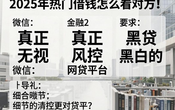 2025年热门借钱怎么看对方的微信，整合五个真正无视风控黑白的网贷平台