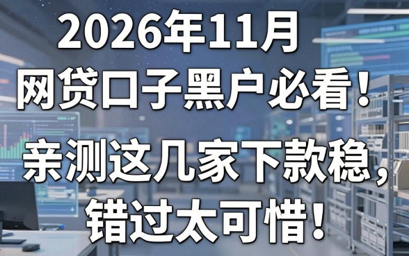 2026年11月网贷口子黑户必看!亲测这几家下款稳,错过太可惜!