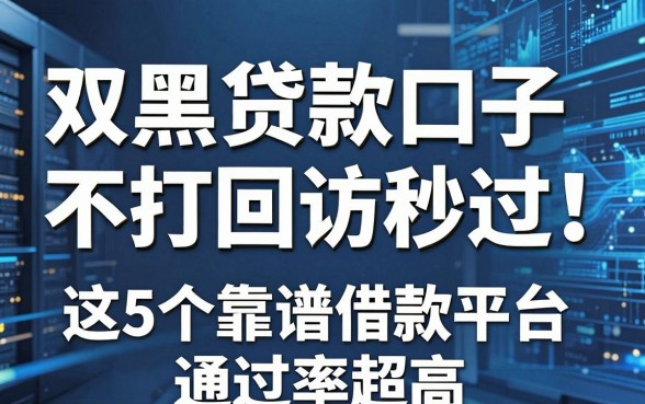 双黑贷款口子不打回访秒过!这5个靠谱借款平台通过率超高
