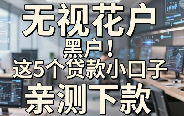无视花户、黑户！这5个贷款小口子亲测下款，实用满分！