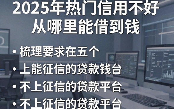 2025年热门信用不好从哪里能借到钱,梳理五个不上征信的贷款平台