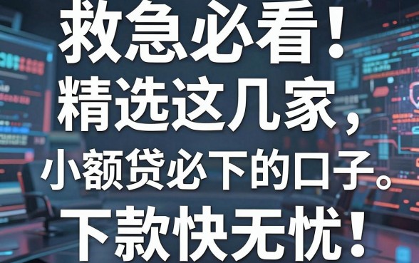 救急必看！精选这几家小额贷必下的口子，下款快无忧！