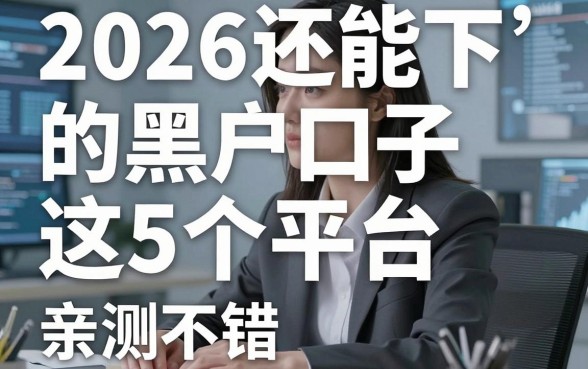 2026还能下的黑户口子，这5个平台亲测不错！