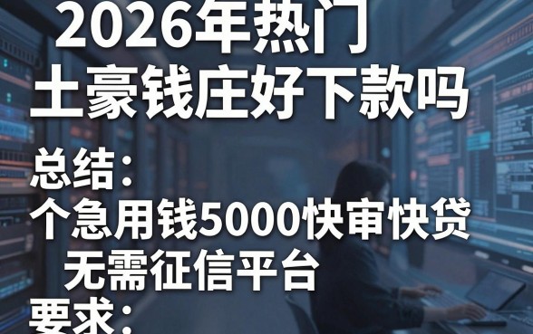 2026年热门土豪钱庄好下款吗,总结5个急用钱5000快审快贷无需征信平台