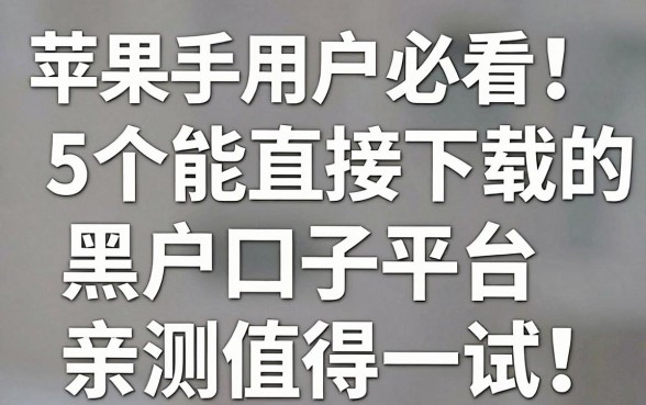 苹果手机用户必看！5个能直接下载的黑户口子平台，亲测值得一试