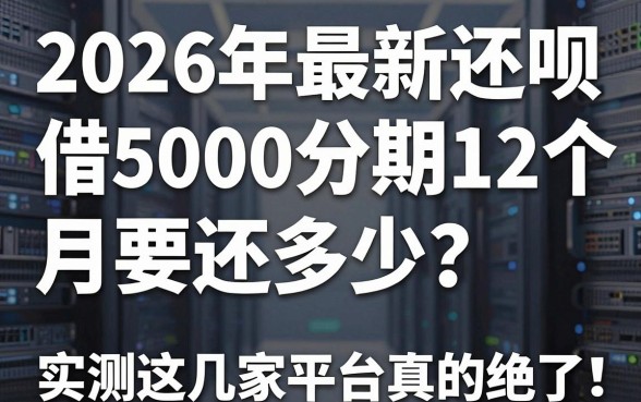 2026年最新还呗借5000分期12个月要还多少?实测这几家平台真的绝了!