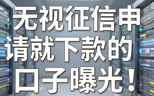 无视征信申请就下款的口子曝光!这几家APP审批快得惊人