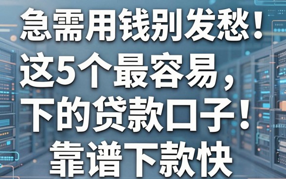 急需用钱别发愁！这5个最容易下的贷款口子，靠谱下款快