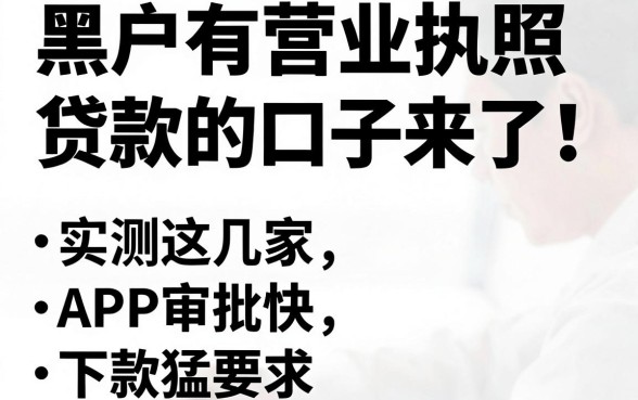 黑户有营业执照贷款的口子来了！实测这几家APP审批快、下款猛