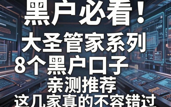黑户必看！大圣管家系列8个黑户口子亲测推荐，这几家真的不容错过！