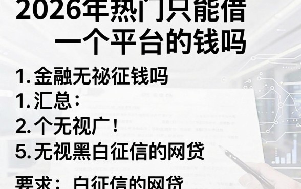 2026年热门只能借一个平台的钱吗,汇总五个无视黑白征信的网贷