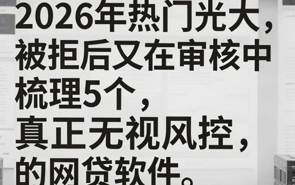 2026年热门光大被拒后又在审核中,梳理5个真正无视风控黑白的网贷软件