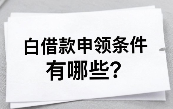 白条借款申领条件有哪些?实测几个容易下款的口子