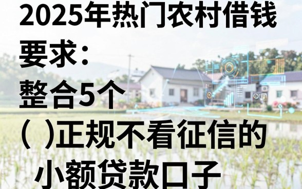 2025年热门农村人 借钱，整合5个正规不看征信的小额贷款口子