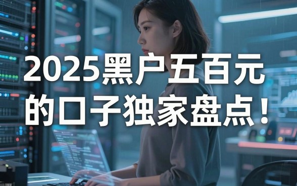 2025黑户五百元的口子独家盘点，观点对比精准到位！