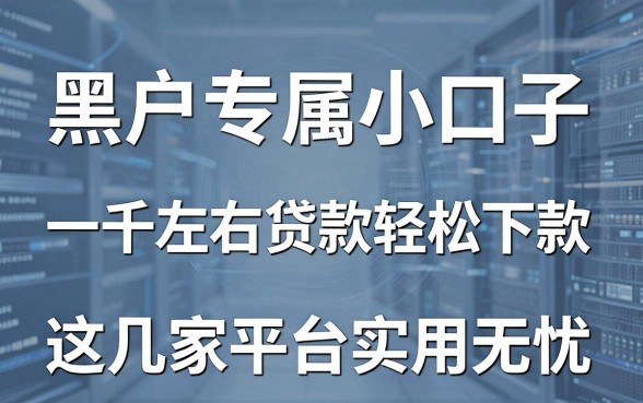 黑户专属小口子，一千左右贷款轻松下款，这几家平台实用无忧！