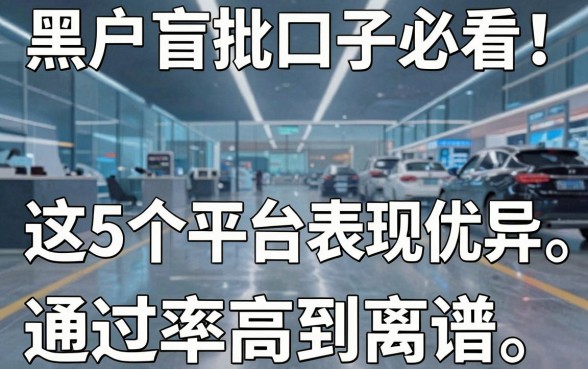 黑户盲批口子必看！这5个平台表现优异，通过率高到离谱