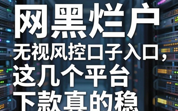 网黑烂户无视风控口子入口，这几个平台下款真的稳！
