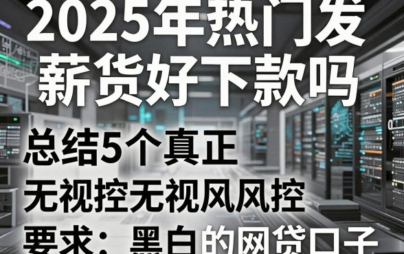 2025年热门发薪货好下款吗,总结5个真正无视风控黑白的网贷口子