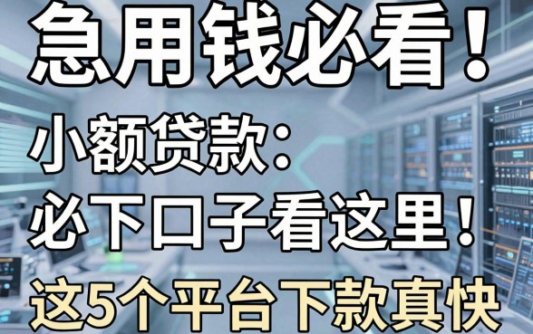 急用钱必看！小额贷款必下口子看这里，这5个平台下款真快