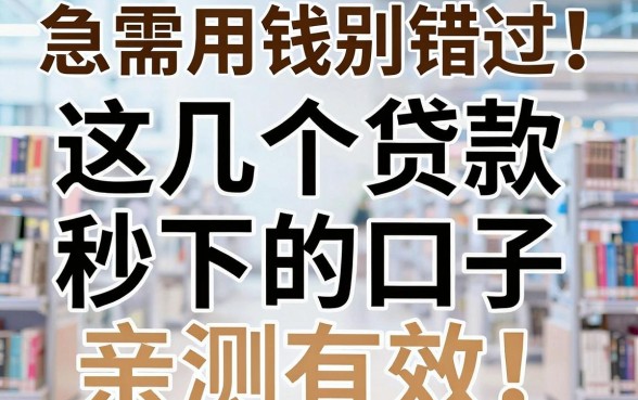 急需用钱别错过!这几个贷款秒下的口子亲测有效