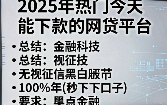 2025年热门今天能下款的网贷平台,总结五个无视征信黑白100%秒下口子
