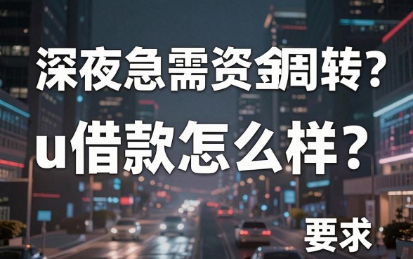 深夜急需资金周转?u借款怎么样?真实用户体验与靠谱平台推荐大揭秘