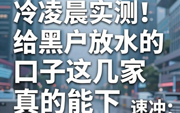 凌晨实测！给黑户放水的口子这几家真的能下，速冲
