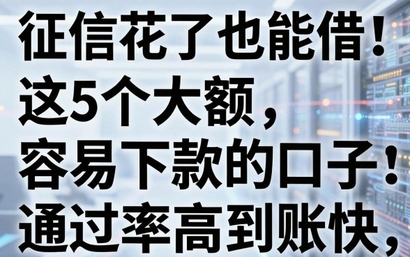 征信花了也能借！这5个大额容易下款的口子，通过率高到账快