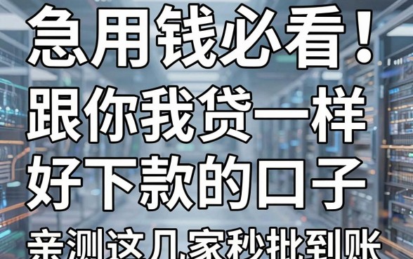 急用钱必看！跟你我贷一样好下款的口子，亲测这几家秒批到账
