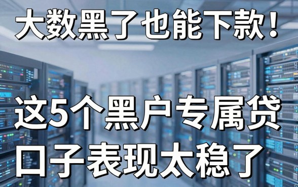 大数据黑了也能下款！这5个黑户专属贷款口子表现太稳了