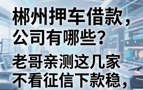 郴州押车借款公司有哪些？老哥亲测这几家不看征信下款稳