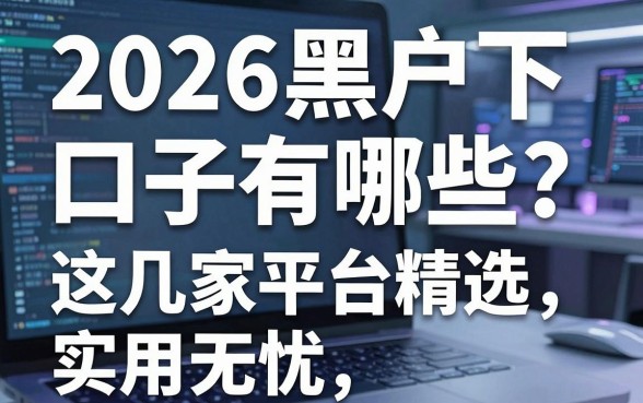 2026黑户必下口子有哪些？这几家平台精选，实用无忧！
