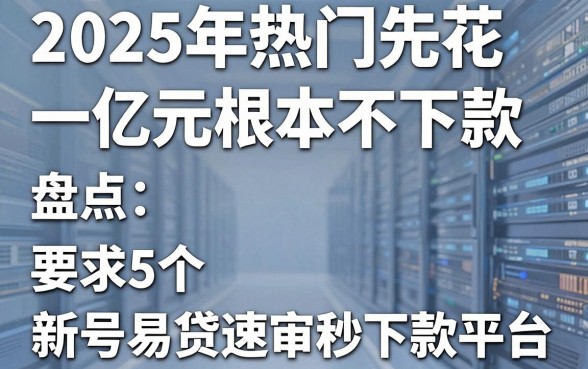 2025年热门先花一亿元根本不下款，盘点5个新号易贷速审秒下款平台
