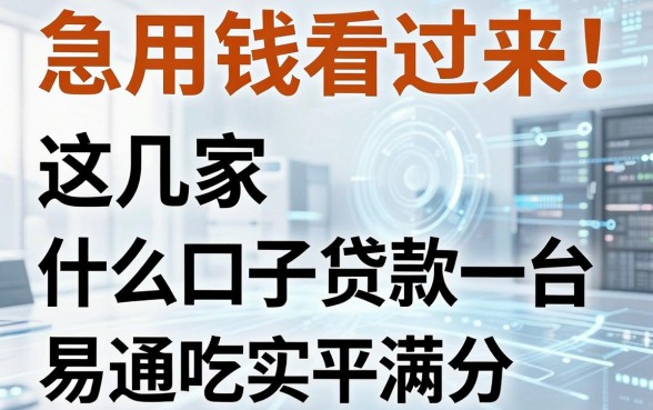 急用钱看过来!这几家什么口子贷款易通吃平台,亲测实用满分!