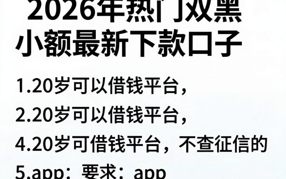 2026年热门双黑小额最新下款口子,罗列5个20岁可以借钱平台不查征信的app