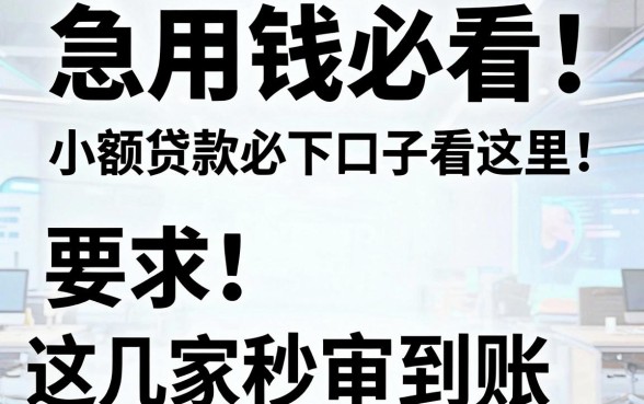 急用钱必看！小额贷款必下口子看这里，这几家APP秒审到账