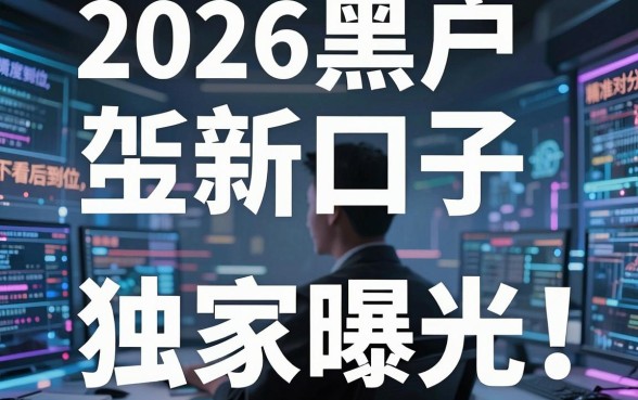 2026黑户新口子独家曝光！深度对比分析，精准到位不看后悔