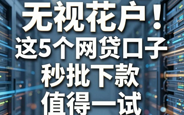 无视花户！这5个网贷口子秒批下款，值得一试