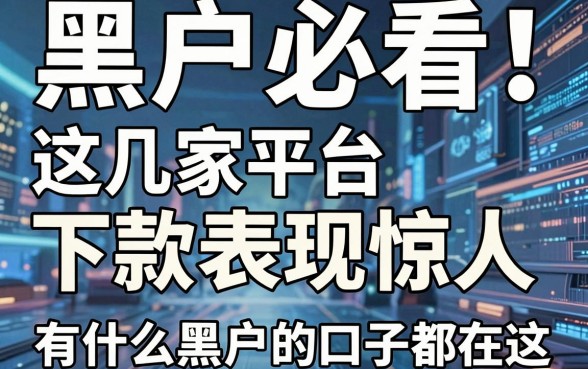 黑户必看！这几家平台下款表现惊人，有什么黑户的口子都在这