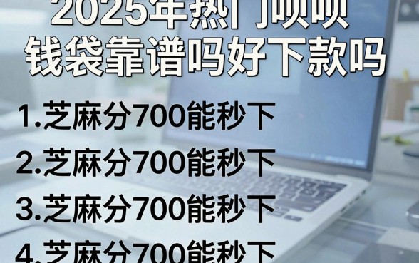 2025年热门呗呗钱袋靠谱吗好下款吗，罗列五个芝麻分700能秒下的平台