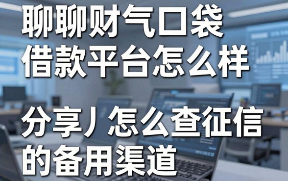 聊聊财气口袋借款平台怎么样,顺便分享几个不怎么查征信的备用渠道