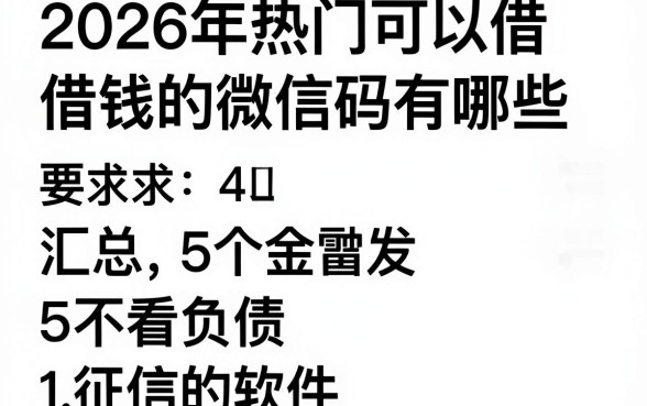 2026年热门可以借钱的微信码有哪些，汇总5个不看负债和征信的软件